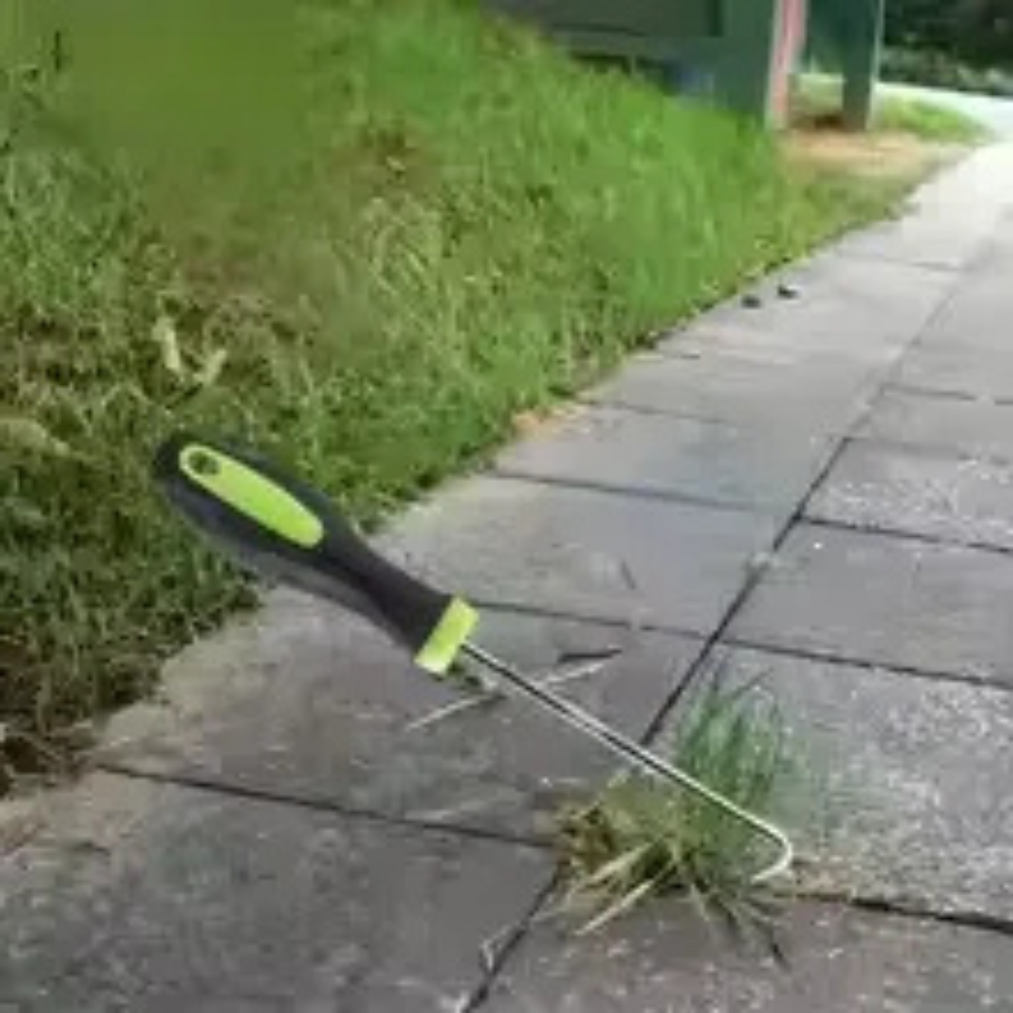 Mini Hand Weeder