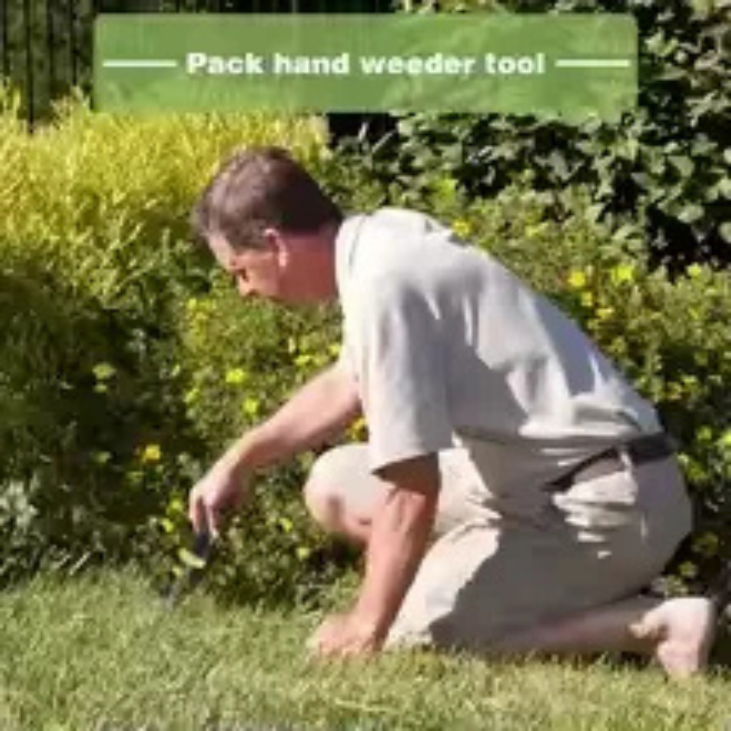 Mini Hand Weeder