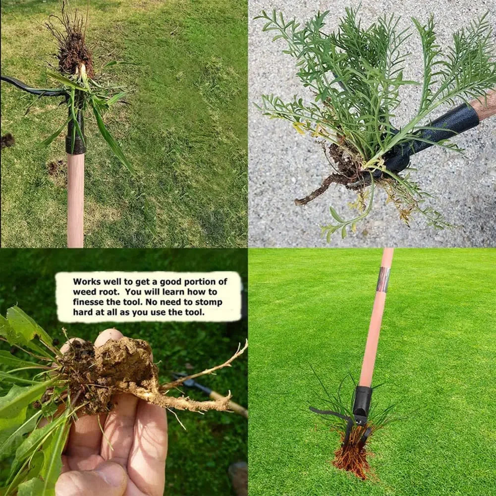The Weed Lifter™ Garden Tool